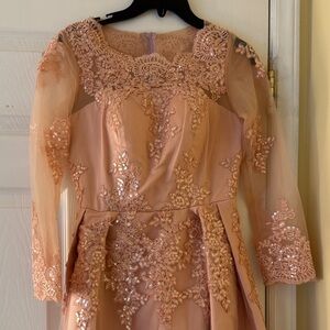Elegant pink Lace Dress/ gown